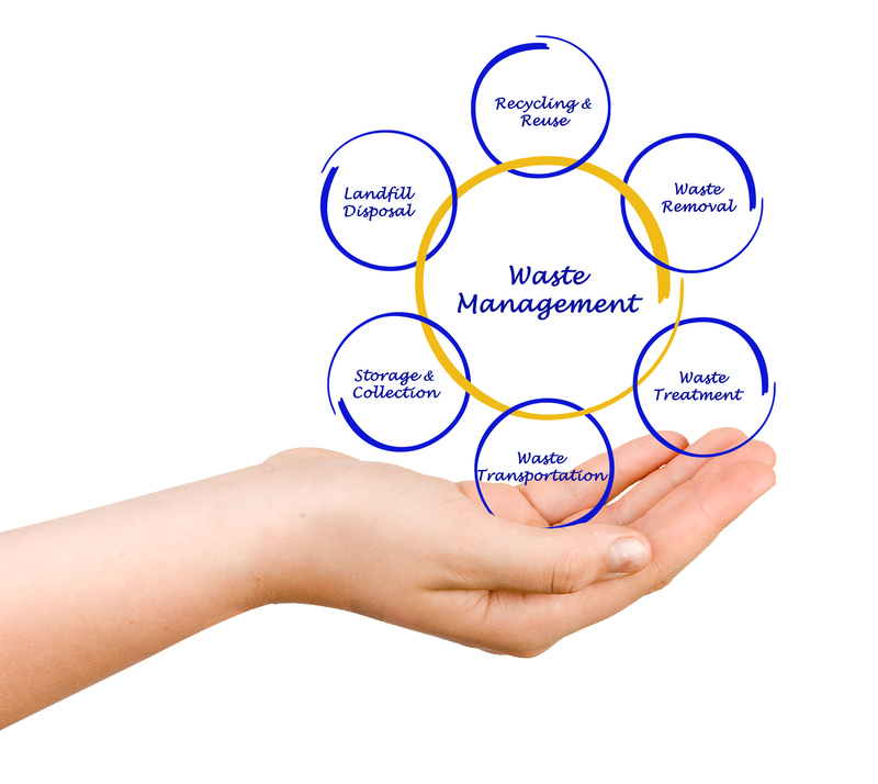 Instilling Eco-Friendly Habits in Kids Through Recycling